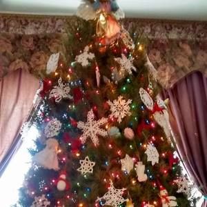 Meet your Posher, Candi